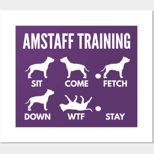 Amstaff Training Amstaff Dog Tricks Posters and Art